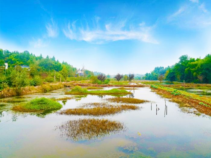 小龙虾养殖基地
