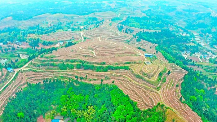 山地蔬菜基地航拍
