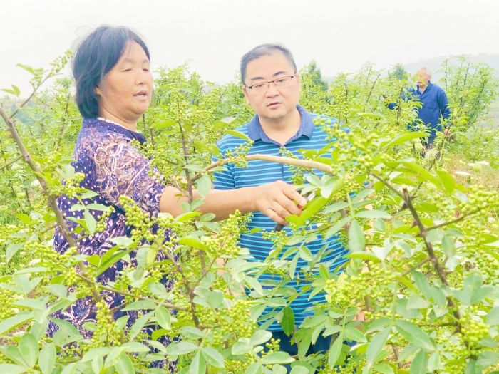第一书记黄周波走访群众
