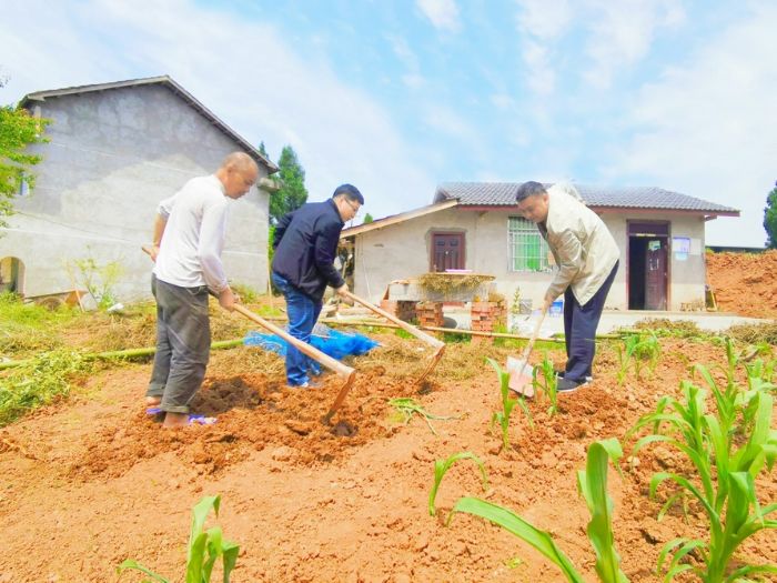 帮助贫困户翻地除草。
