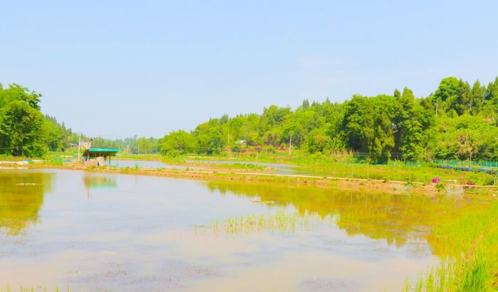 小龙虾基地
