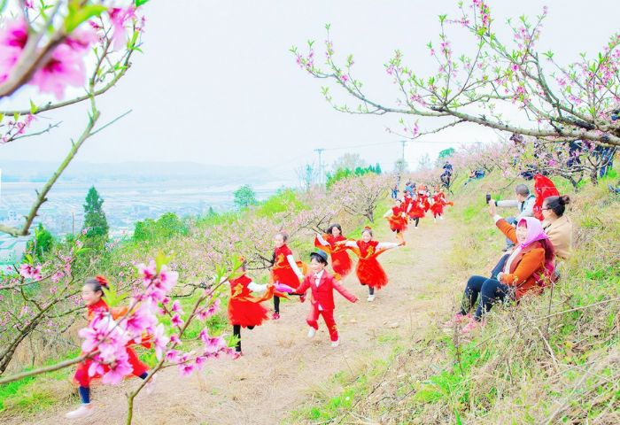 　　5月31日，太安小学组织学校部分年级的学生来到桃花山，开展“走进美丽家乡·探索神秘自然”社会实践活动，让孩子走出校园亲近自然，激发孩子发现美、表现美、创造美的能力，进一步让孩子感受家乡的美好，以不同寻常的方式庆祝六一儿童节。 通讯员廖素兰摄
