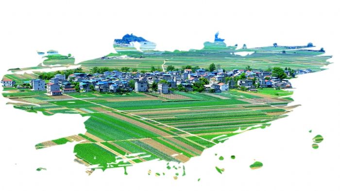 双坝蔬菜基地。
