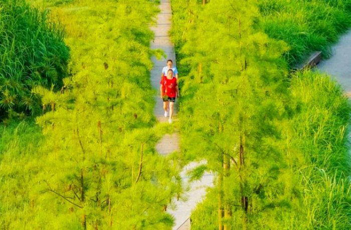 大佛寺湿地公园。通讯员卢一勤摄
