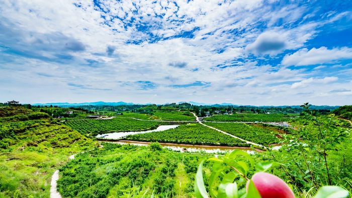 风景如画的龙滩村。
