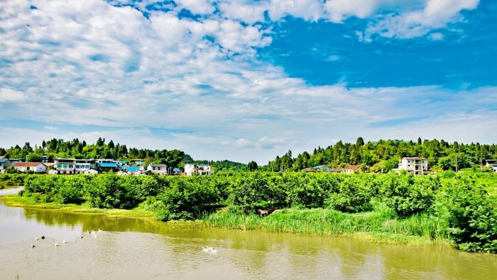 绿水青山掩映下的龙滩村。
