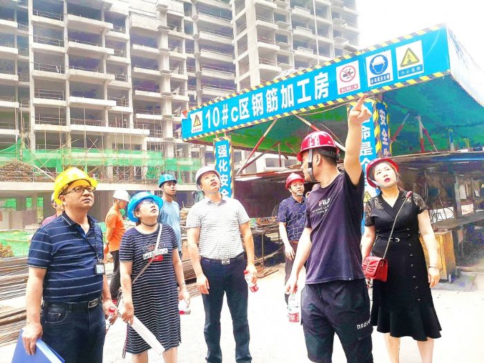 检查组深入工地排查安全隐患
