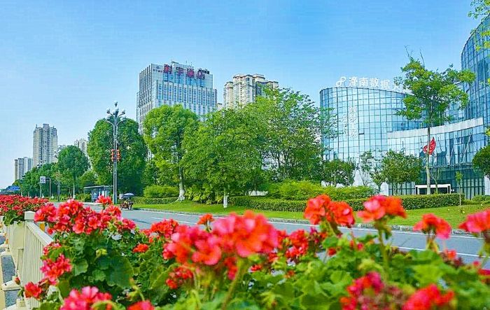 绿化美化后的城市边角坡地。
