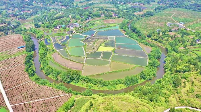 观赏鱼养殖基地。