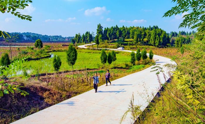 建成通车的农村公路。
