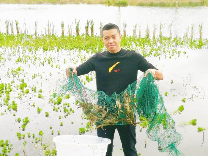 黎龙在捕捞大闸蟹。
