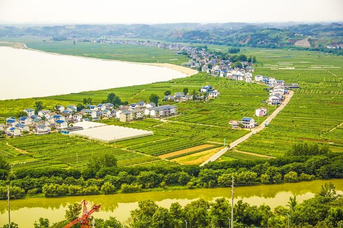 桂林街道双坝社区农村公路。
