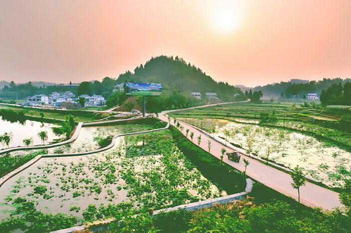林湾村四通八达的农村公路。
