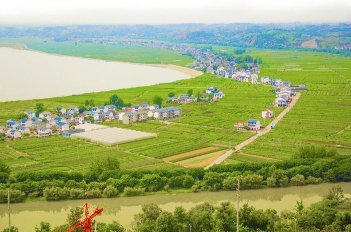 乡村公路横贯整个双坝社区蔬菜基地。
