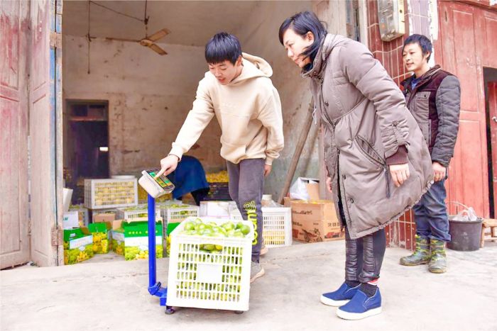 电商助力柠檬销售。
