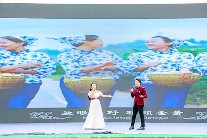 2020潼南国际柠檬节嘉年华之乡村音乐会现场。
