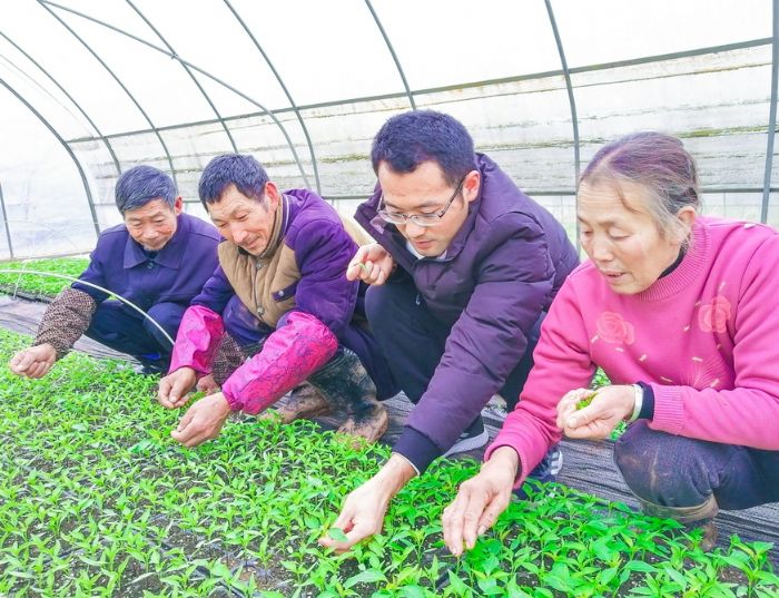 区级科技特派员陈启武（右二）在科光潼农蔬菜基地对员工进行技术培训。
