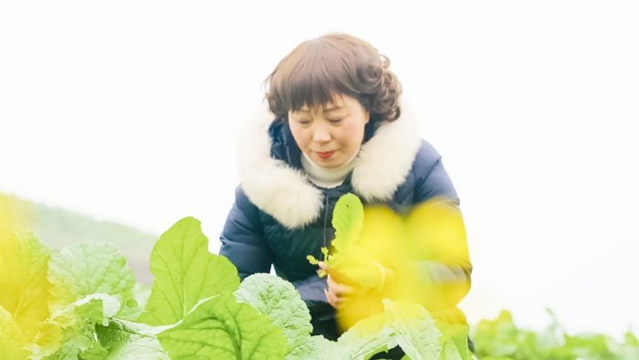 陈春兰在基地除杂草。
