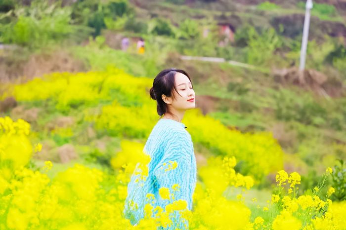 油菜花盛开。
