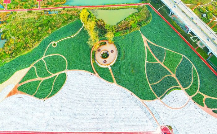 蔬菜公园。（资料图）
