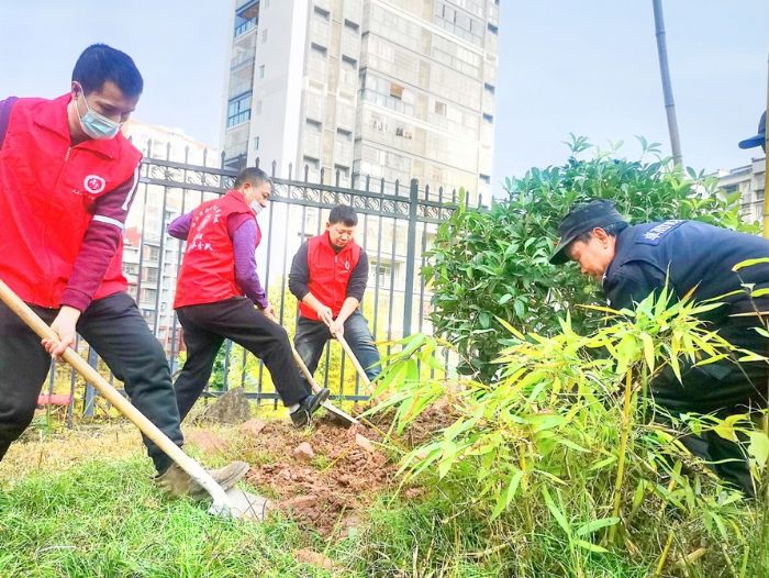 志愿者参与小区绿化建设。
