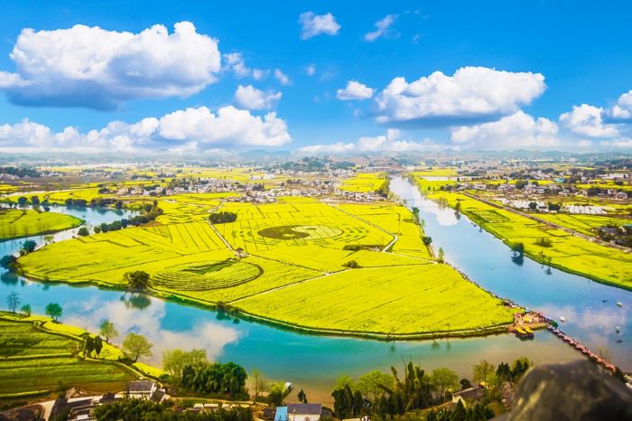 陈抟故里菜花景区。
