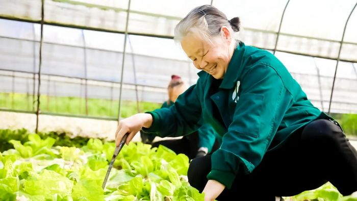 村民在基地除草。

