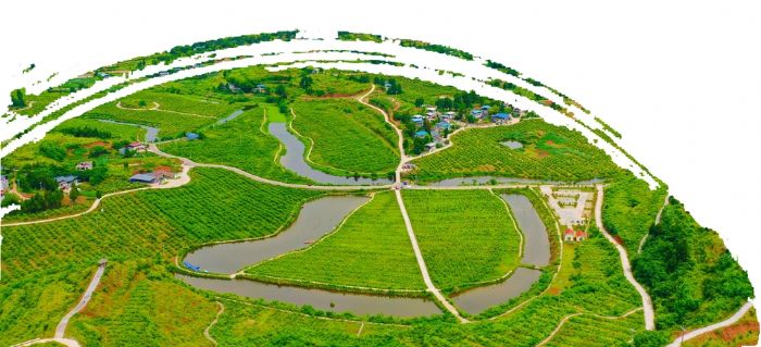 古溪镇龙滩村水晶蜜桃基地航拍全景。。
