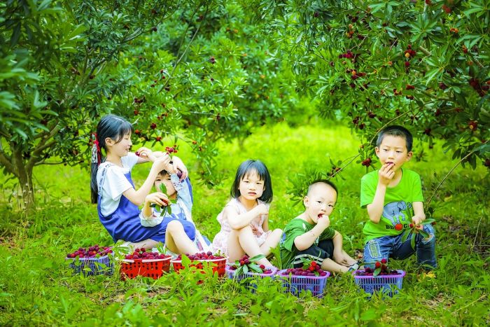 孩子们享受丰收的果实。
