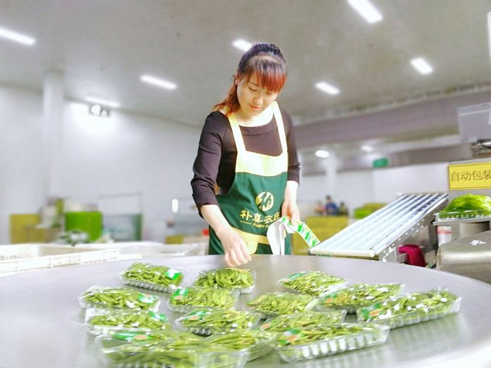 朴真农业自动包装车间，工人正在给已包装好的蔬菜贴商标。

