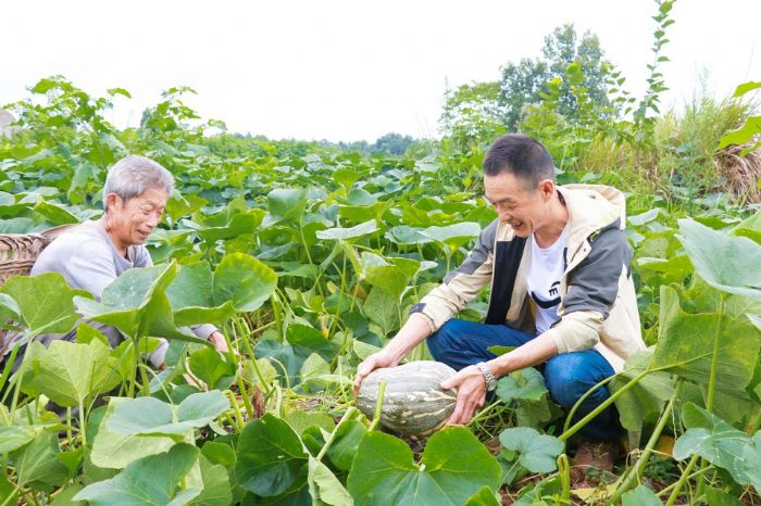 李荣（右）和群众察看南瓜长势。
