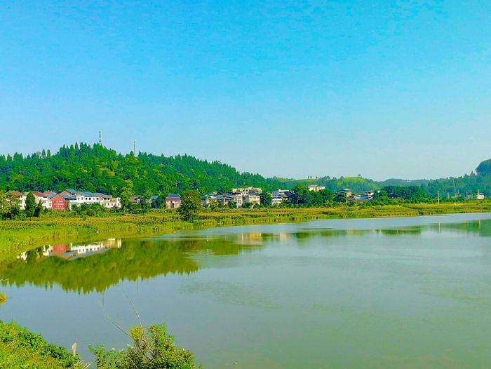 别口镇打造沿江湿地生态景观带。
