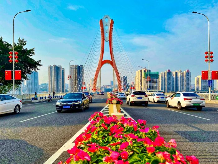 鲜花扮靓城市道路。
