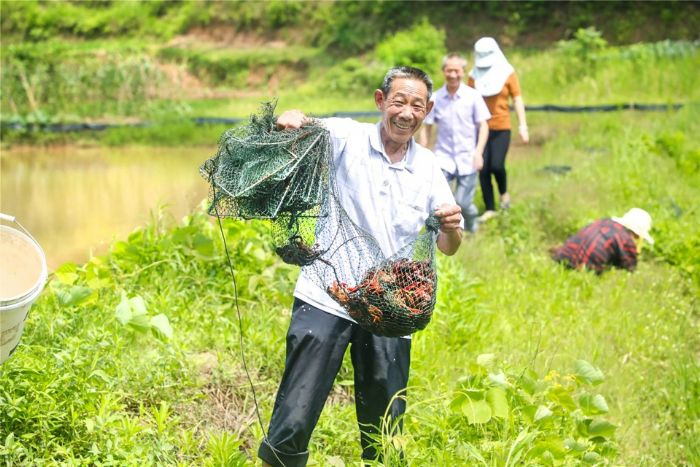村民王全良的小龙虾喜获丰收。
