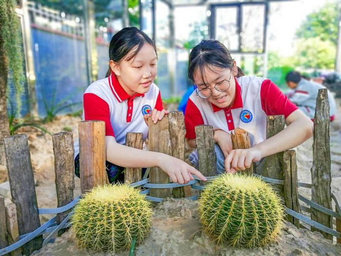 学生了解沙漠区植物。
