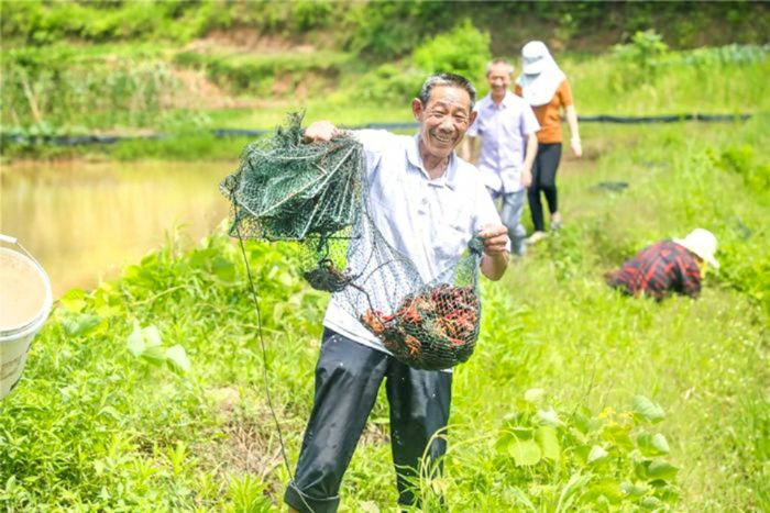 村民王全良的小龙虾喜获丰收。
