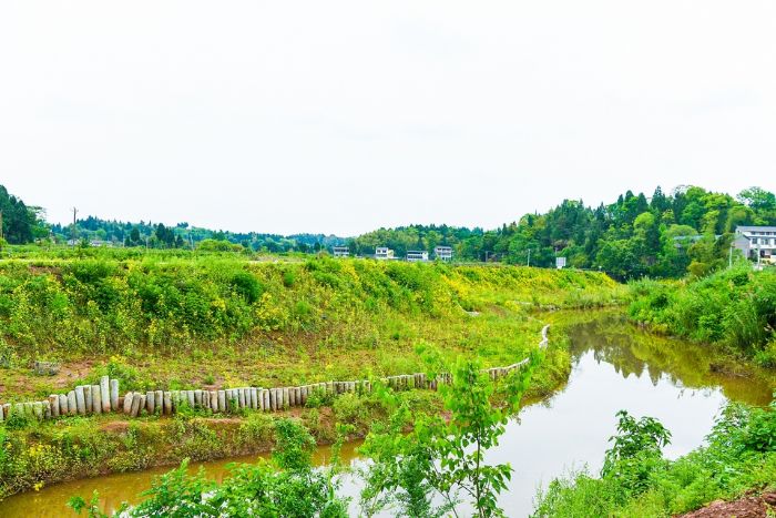 河道整治后的观音碑河水清岸绿。
