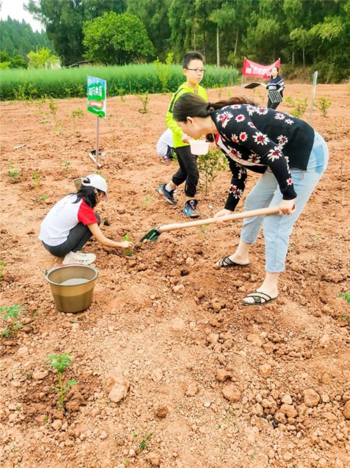 共享田园探索农旅融合发展新路径。
