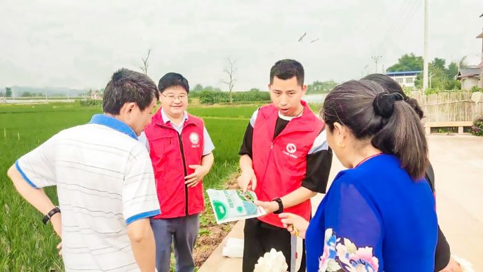 科技特派员指导农民科学防治福寿螺。
