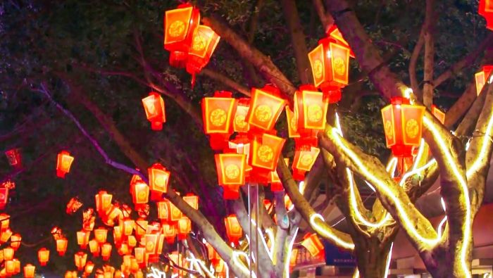 奋进广场树梢挂满灯笼。
