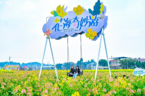 《妙游花海》刘芸