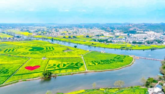 陈抟故里菜花景区。 卜寿林 摄